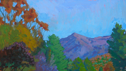 Open Studio Tour Roanoke April 27 & 28