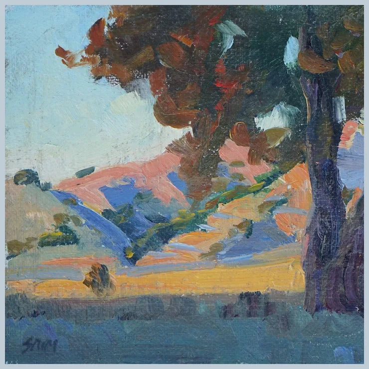 California Landscape by Plein Air Artist Saim Caglayan