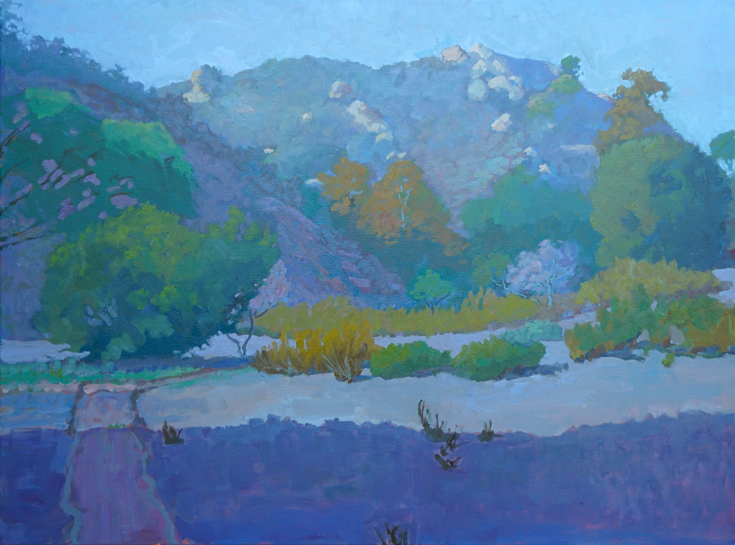 Laguna Canyon Landscape Painting By Rachel Uchizono