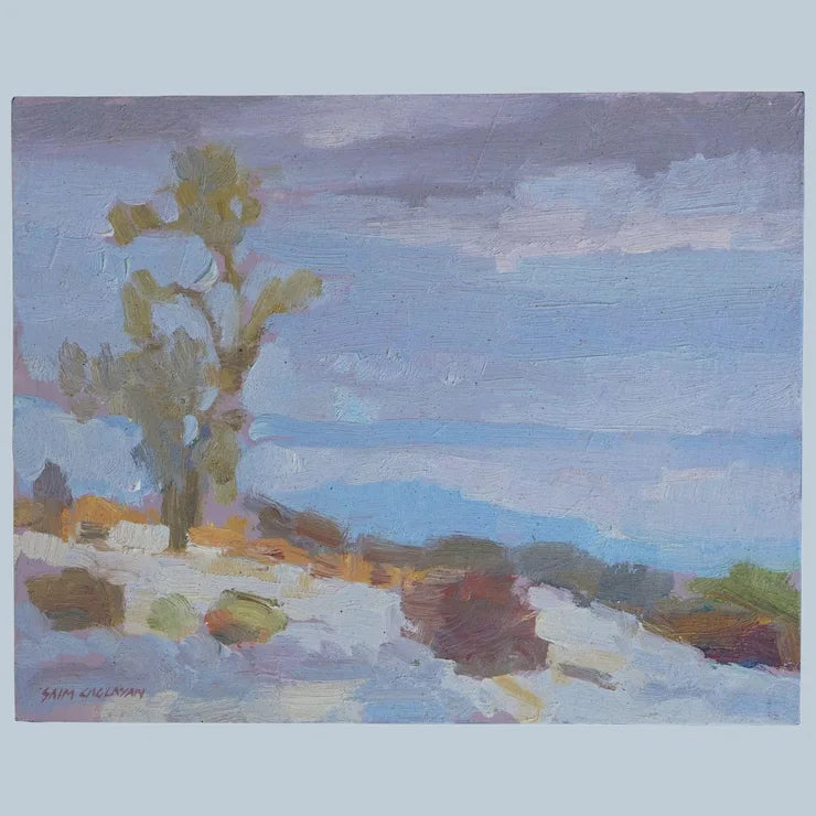 Anza Borrego Desert Landscape By Plein Air Artist Saim Caglayan