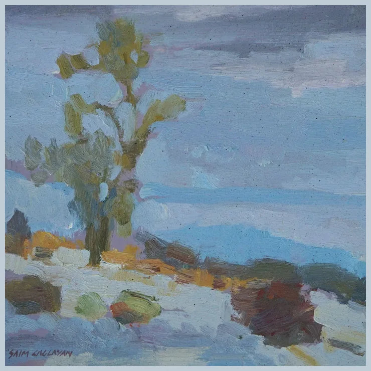 Anza Borrego Desert Landscape By Plein Air Artist Saim Caglayan