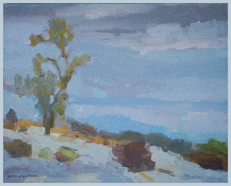 Anza Borrego Desert Landscape By Plein Air Artist Saim Caglayan