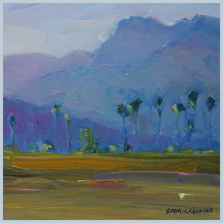 Anza Borrego Desert Landscape By Plein Air Artist Saim Caglayan