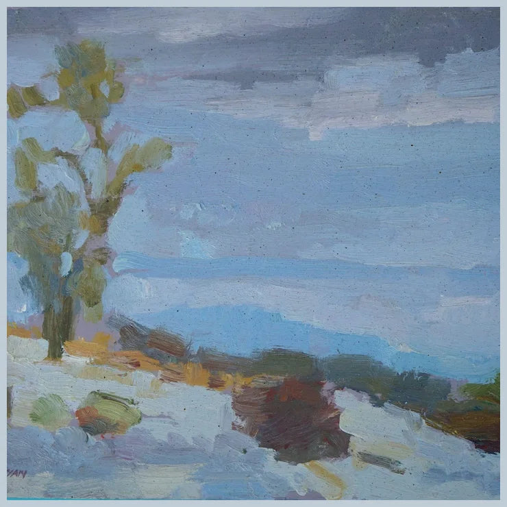 Anza Borrego Desert Landscape By Plein Air Artist Saim Caglayan