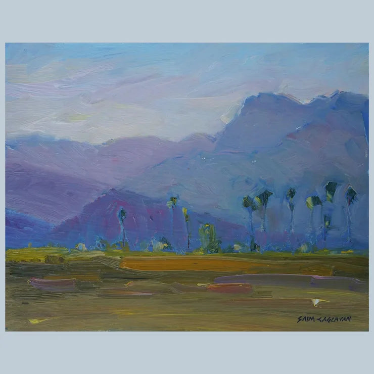 Anza Borrego Desert Landscape By Plein Air Artist Saim Caglayan