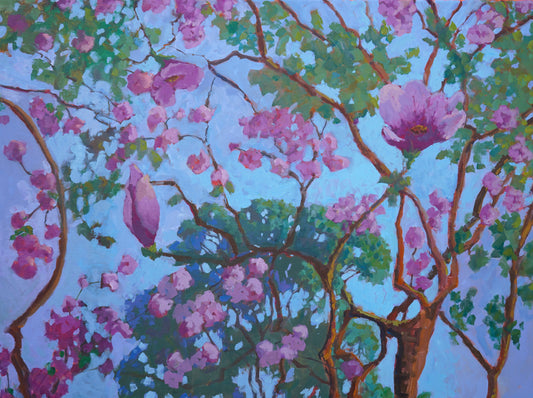 Pink Tulip Magnolia Tree By Rachel Uchizono